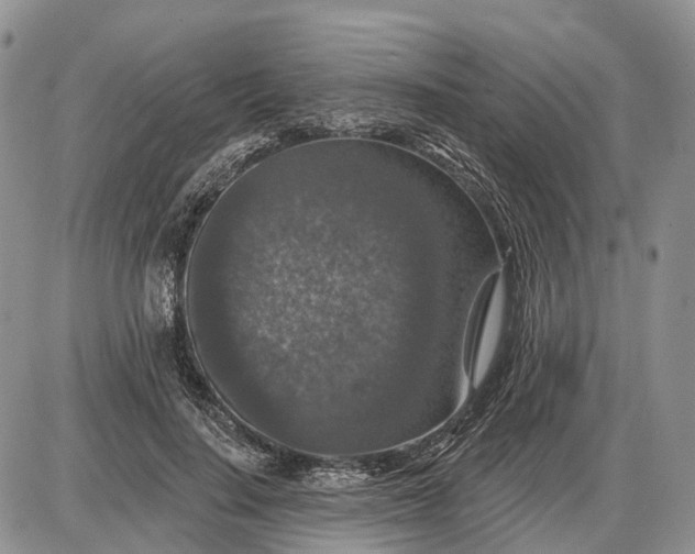 X0000085260644200703231716