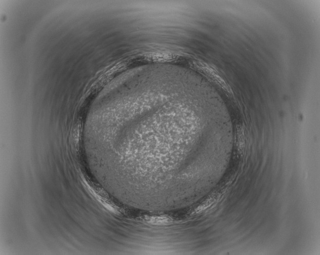 X0000085260645200703231716