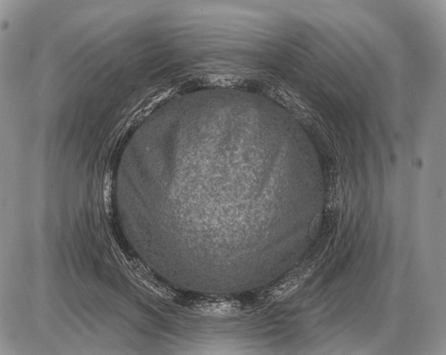 X0000085260646200703231716