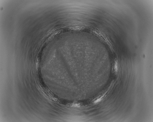 X0000085260647200703231716