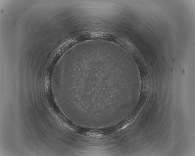 X0000085260648200703231716