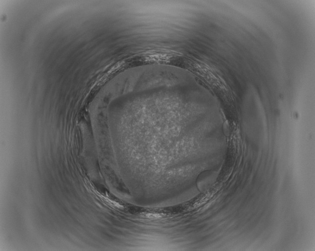 X0000085260649200703231716