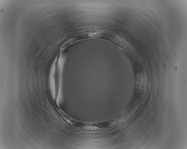 X0000085260650200703231716