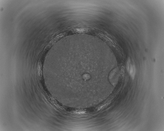 X0000085260651200703231716