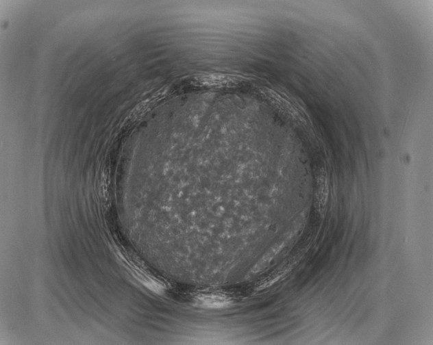 X0000085260653200703231716