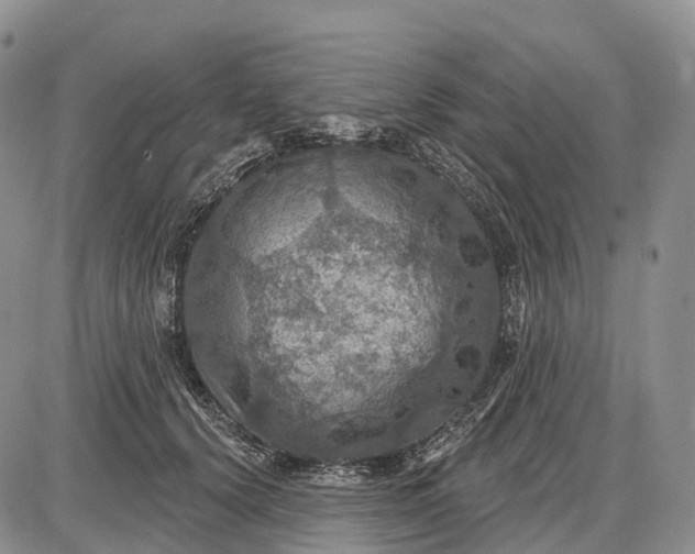 X0000085260656200703231716