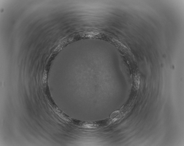 X0000085260657200703231716