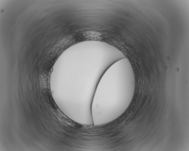 X0000085260658200703231716