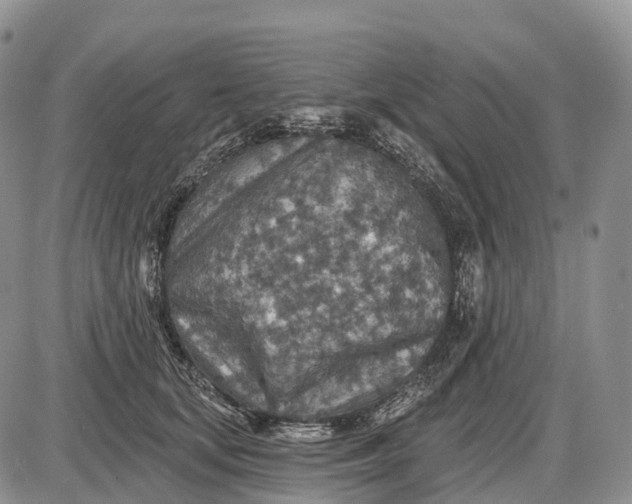 X0000085260659200703231716