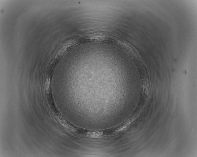 X0000085260660200703231716