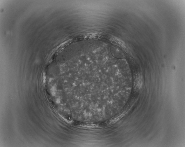 X0000085260661200703231716