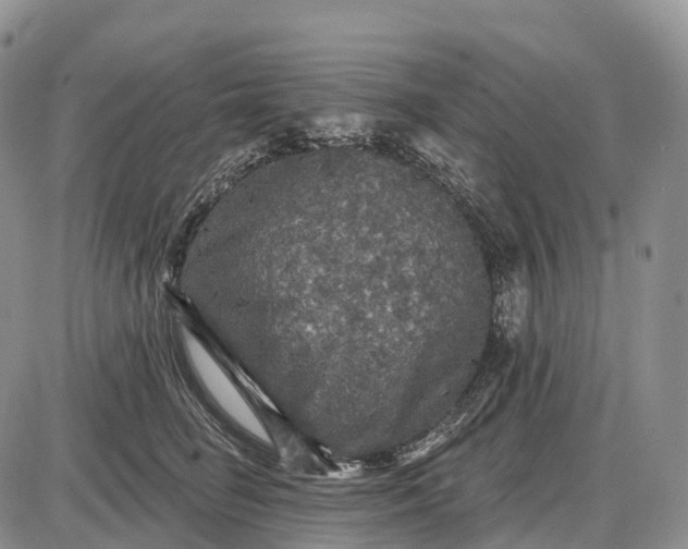 X0000085260662200703231717