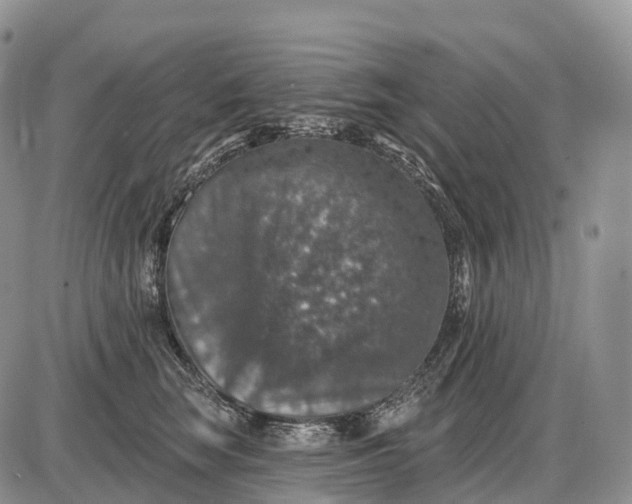 X0000085260663200703231717