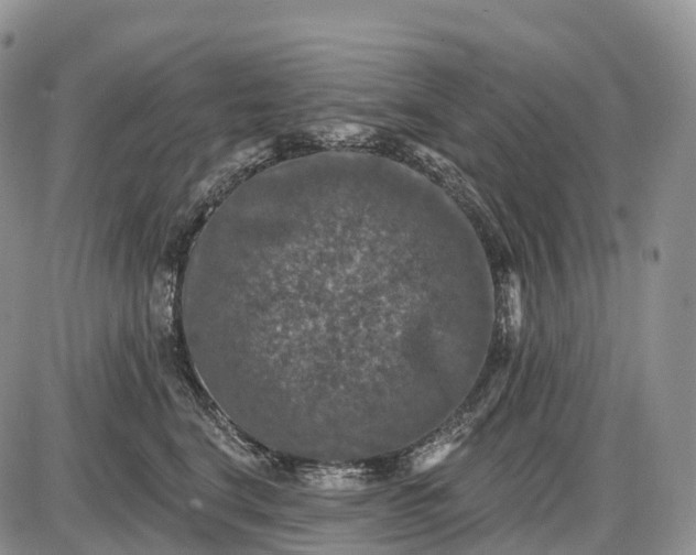 X0000085260664200703231717