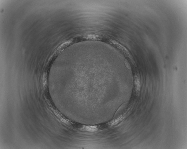 X0000085260665200703231717