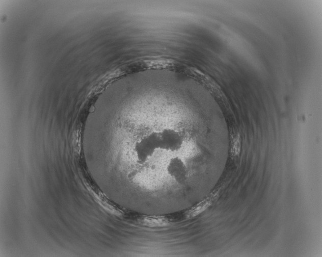 X0000085260666200703231717