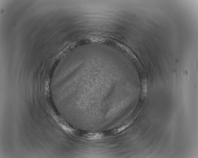 X0000085260667200703231717