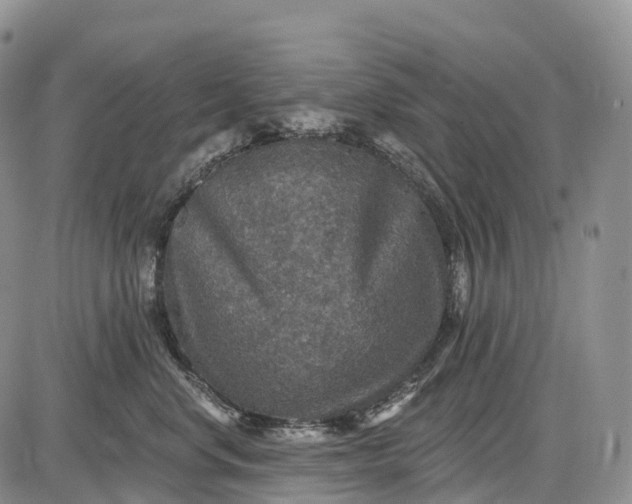 X0000085260668200703231717