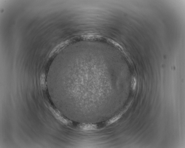 X0000085260670200703231717