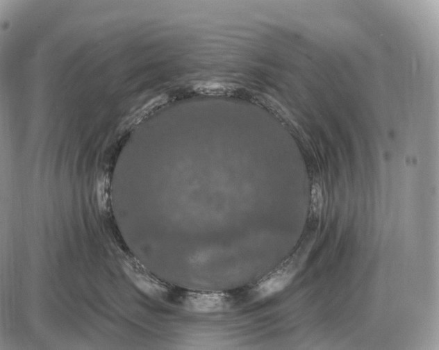 X0000085260671200703231717