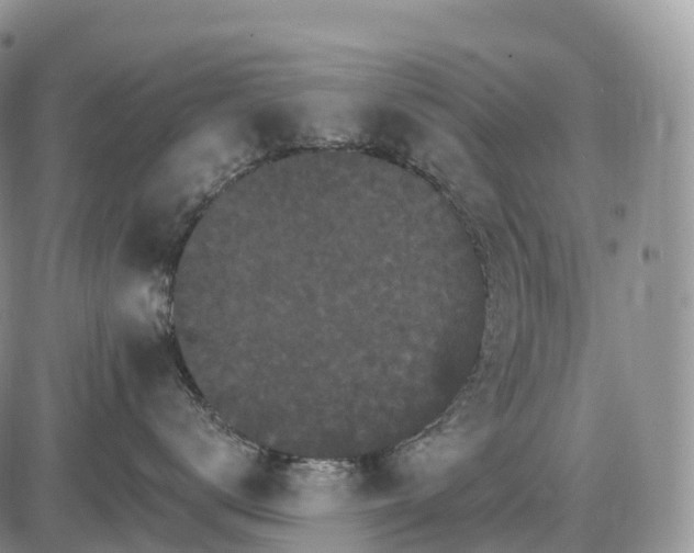 X0000085260672200703231717