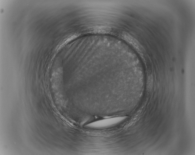 X0000085260673200703231716