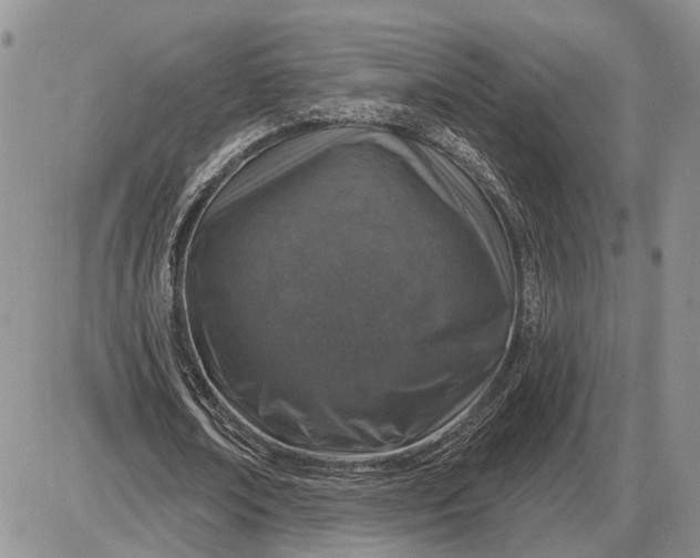 X0000085260674200703231716