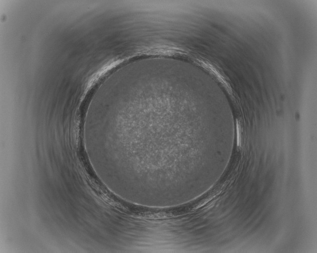 X0000085260675200703231716