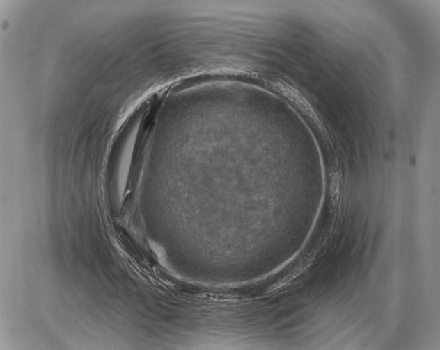 X0000085260676200703231716