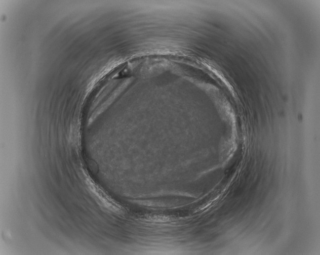 X0000085260677200703231716