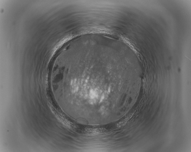 X0000085260679200703231716