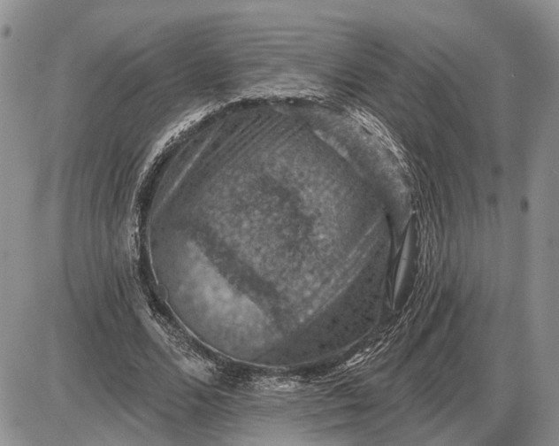 X0000085260680200703231716