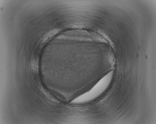 X0000085260681200703231716