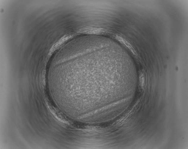 X0000085260682200703231716