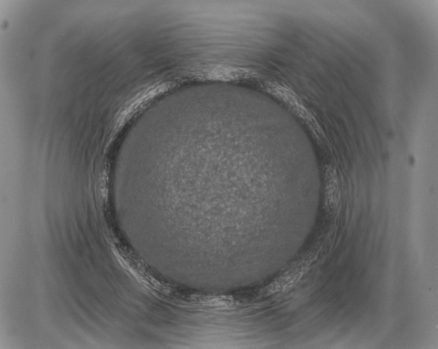 X0000085260683200703231716