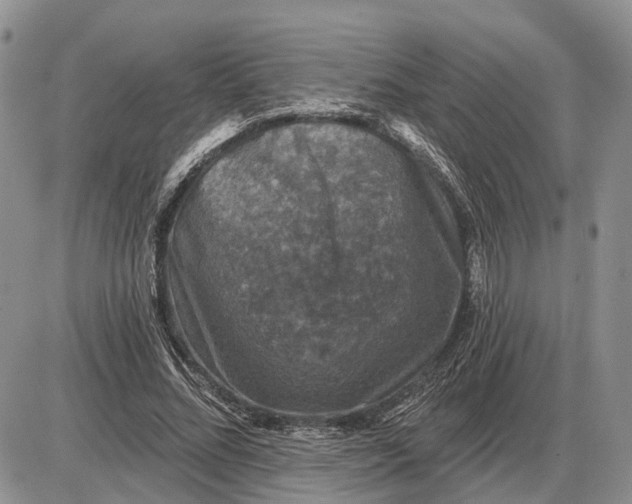 X0000085260684200703231716