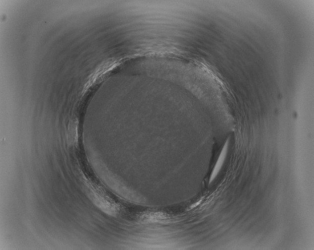 X0000085260685200703231716