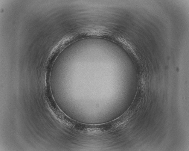 X0000085260686200703231716