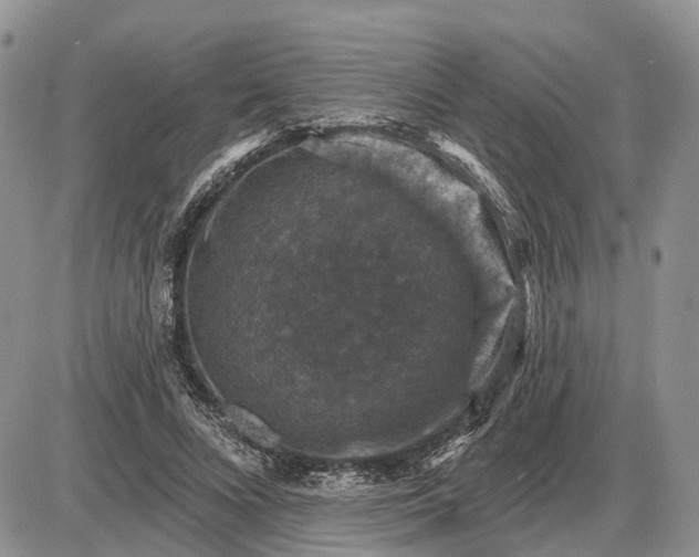 X0000085260688200703231716