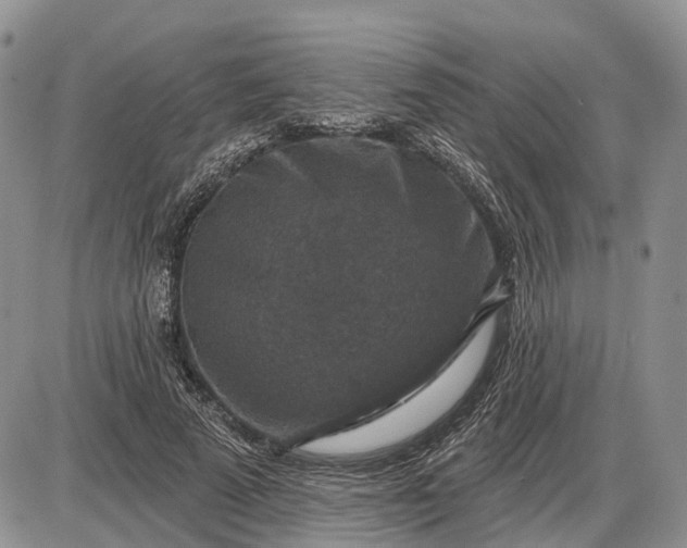 X0000085260689200703231716