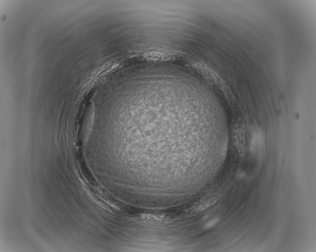 X0000085260690200703231716