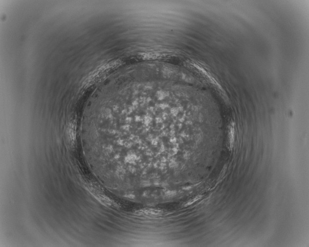 X0000085260691200703231716