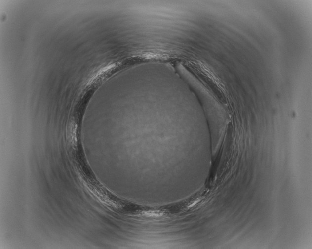 X0000085260692200703231716