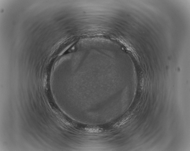 X0000085260693200703231716