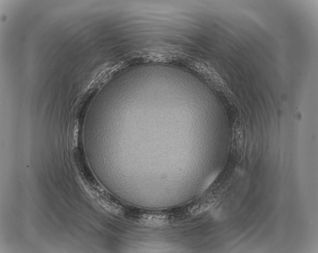 X0000085260694200703231716