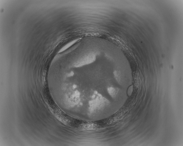 X0000085260695200703231716