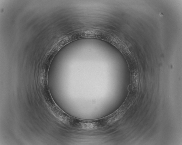 X0000085260698200703231715