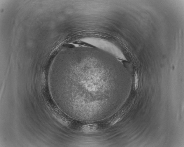 X0000085260700200703231715