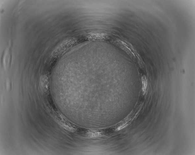 X0000085260701200703231715