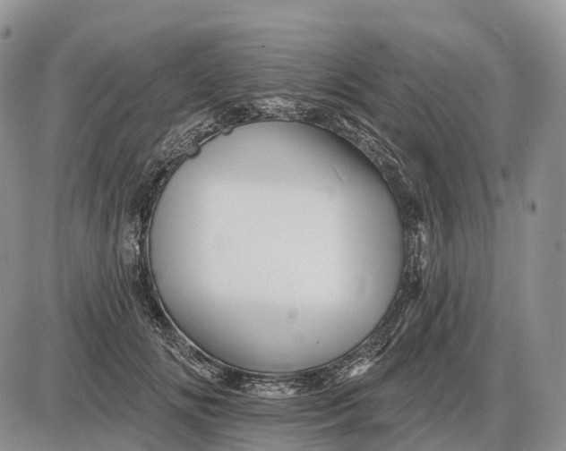 X0000085260702200703231715